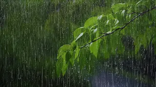 Rainy Piano Radio 🌧️ Relaxing Music with Rain Sounds, Deep Sleep Instantly