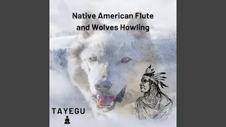 Native American Flute and Wolves Howling 1 Hour Relaxing Ambient Yoga Meditation Sound For...