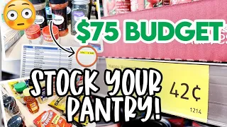 HOW TO STOCK YOUR PANTRY FOR $75! 💵 55 BUDGET PANTRY ESSENTIALS FROM ALDI & WALMART 🛒 EXTREME BUDGET