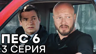 Сериал ПЕС 6 - 6 сезон - 3 серия - ВСЕ СЕРИИ смотреть онлайн | СЕРИАЛЫ ICTV