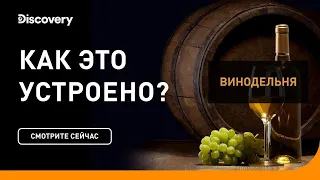 Винодельня | Как это устроено | Discovery