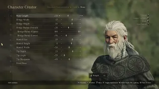 Gandalf in Dragon's Dogma 2 Character Creator (Slider info included)