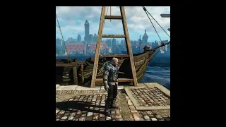 I spent 5hrs making this 50 second clip Witcher 3 #shorts