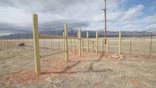 Highway Crossing Structures for Wildlife