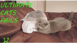 ULTIMATE CATS FAILS OF MAY 2016 /Лучшее в Coub /Funny video. The best coub 2016 #32