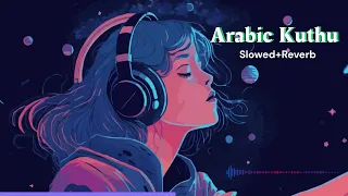 Arabic Kuthu - Lo-fi Video Song | Beast | Thalapathy Vijay | Pooja Hegde | Nelson | Anirudh