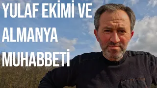 YULAF EKİMİ VE ALMANYA MUHABBETİ