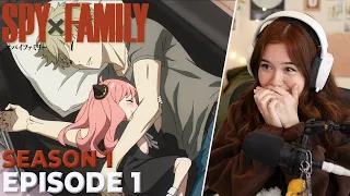 SO CUTE! SPY x FAMILY Episode 1 Reaction