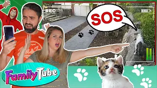 DESAPARECEN LOS GATOS !!! Web Serie FamilyTube