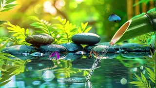 Music to Relax the Mind + Yoga, sleep Now, Music for Meditation, Relaxing Sleep Music, Zen, Calming