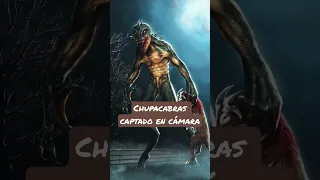 Chupacabras captado en cámara #paranormal #historiadeterror #leyenda #chupacabra#terror