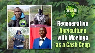 Regenerative Agriculture with Moringa as a Cash Crop