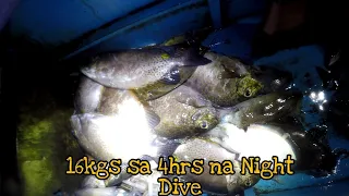 Naka Jackpot ulit TAYO mga boss Spearfishing Night Dive