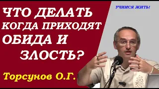 Когда приходят обида и злость. Что делать?  Учимся жить. Торсунов О.Г.