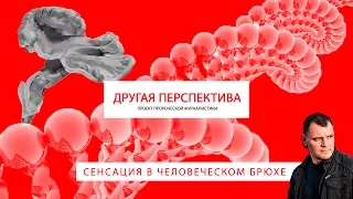 Сенсация в человеческом брюхе. | «Другая Перспектива»