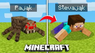 6 PACZEK TEKSTUR które ROZWALAJĄ MÓZG w MINECRAFRT!