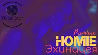 HOMIE - Эхинацея (Премьера, Клип 2019)