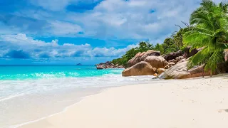 AMBIENT CHILLOUT LOUNGE RELAXING MUSIC -🌴 Essential Relax Session 2 - Background Chill Out Music