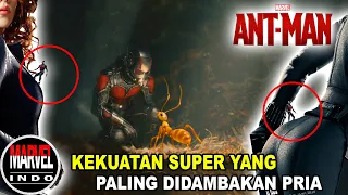 superhero yang punya Keahlian Mencuri Dan Menyusup!!!!! Inilah Sang Pengendali Semut Ant-Man