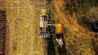 Corn/Mais/kukurydza harvest 2020 Claas lexion 420