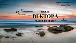 Занятие 7. Мышечный вектор. Тренинг  Вектора. Проект Вячеслава Юнева