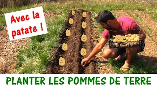 PLANTER LES POMMES DE TERRE