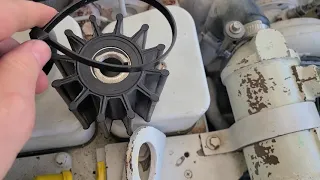 Cummins 6BT Impeller Replacement