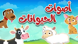 أنشودة أصوات الحيوانات للأطقال -  قناة طم طم