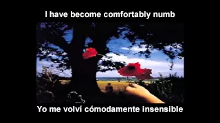 Pink Floyd - Comfortably Numb (Español - Ingles)