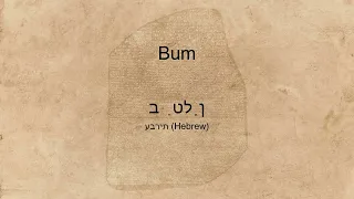 "Bum" spoken in many languages