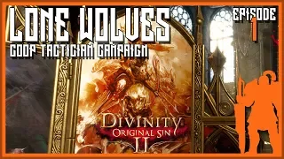 Lone Wolf CO-OP | DOS2 Definitive Edition - Let's Play ep 1 [Tactician Difficulty Campaign]