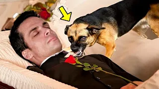 During The funeral, Dog Came To Say Goodbye To Its Owner. Then Something Incredible Happened!