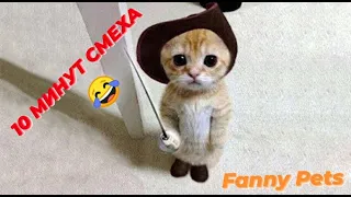 ГОВОРЯЩИЕ КОТЫ 🤪САМЫЕ СМЕШНЫЕ КОТЫ И СОБАКИ 🐱🐶 ПРИКОЛЫ С ЖИВОТНЫМИ 😀😂😀