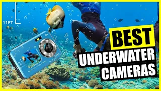 Best Underwater Camera [2024]