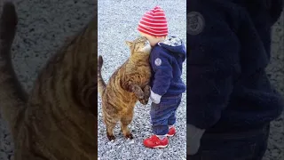 Funny animals 2023😆 - Funniest Cats and Dogs Video🐕🐈212 #shorts