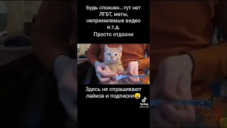 Не мем 110 #мем #мемы #ржака #смехдослез #прикол #приколы #лучшее #рекомендации #short