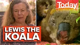 The woman who saved Lewis the koala | Today Show Australia