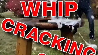 What is whip cracking?