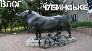 ЧУБИНСЬКЕ | 2020