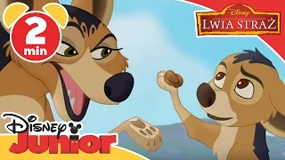 Lwia Straż - Piosenka: Szakal swe sposoby ma. Oglądaj w Disney Junior!