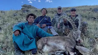 Altai & Gobi Ibex hunt in Mongolia