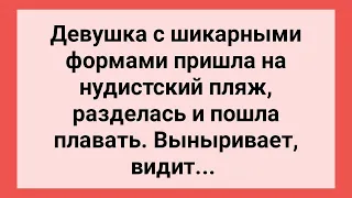 Девушка с Шикарными Формами на Нудистском Пляже! Сборник Свежих Смешных Жизненных Анекдотов!