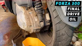 Honda Forza 300 - Transmission / Final Drive Oil Change | Mitch's Scooter Stuff