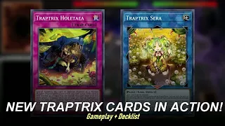 NEW TRAPTRIX Gameplay + Decklist