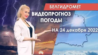 Видеопрогноз погоды по областным центрам Беларуси на 24 декабря 2022 года
