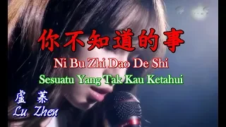 Ni Bu Zhi Dao De Shi 你不知道的事 盧蓁 [Sesuatu/Hal Yang Tak Kau Ketahui]