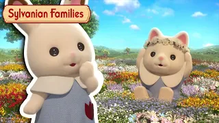 Best of MINI EPISODES COMPILATION 🎉#AtHome with Sylvanian Families