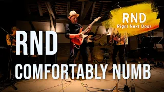 Right Next Door | COMFORTABLY NUMB (Pink Floyd Cover) | live @ Steisslinger Musiksommer 2022