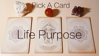 What Is Your Life Purpose?🧑‍🚀👨‍🎨👩‍🏫Timeless Tarot Reading