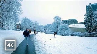 🇩🇰 Aarhus, Denmark - Snow Fall Walking Tour 4K - Dec 2023